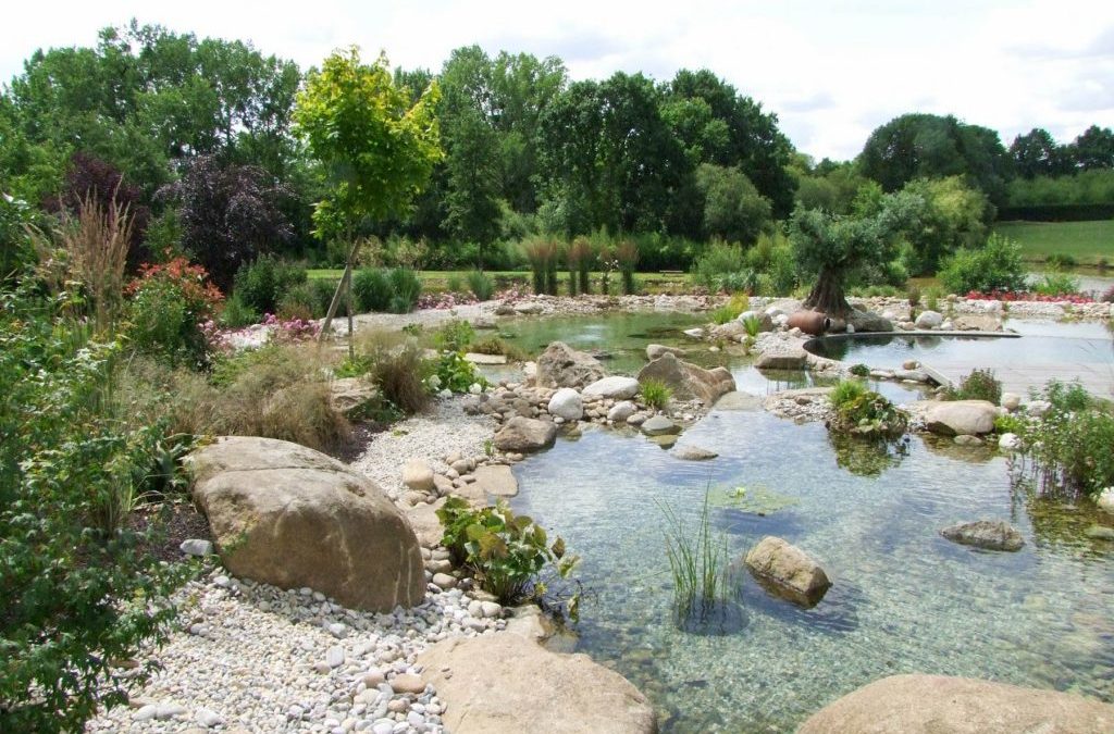 Piscine écologique ou naturelle : ce qu’il faut savoir !